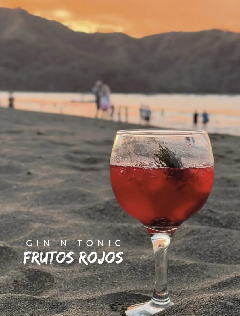 Berry gin & tonic