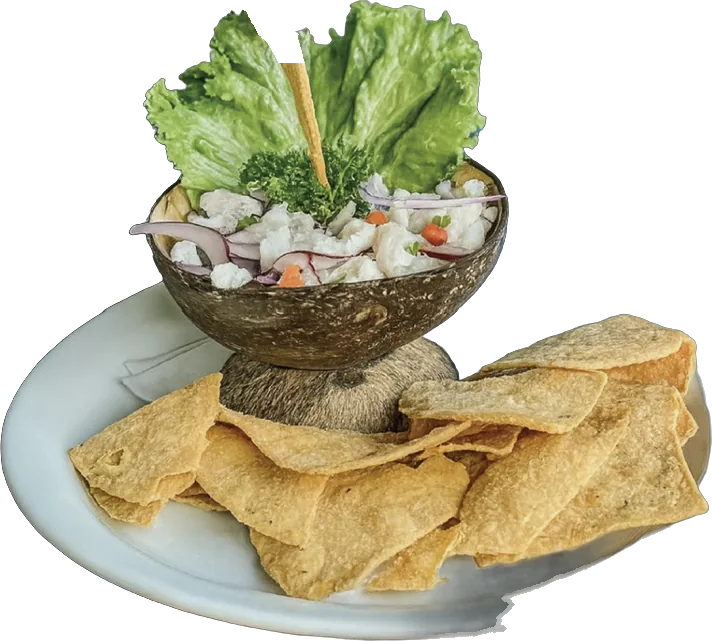 Fish ceviche