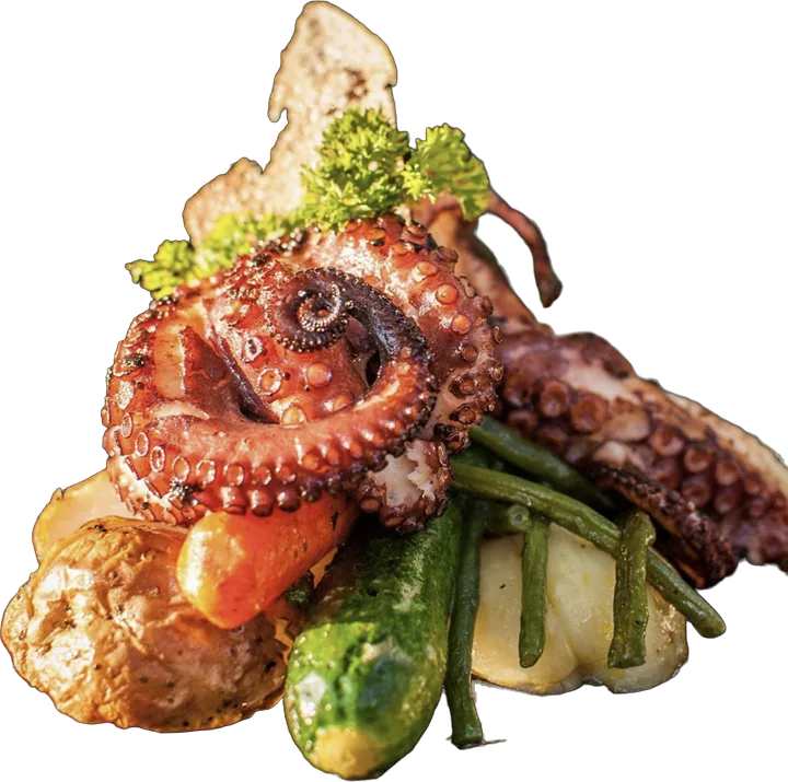 Grilled octopus